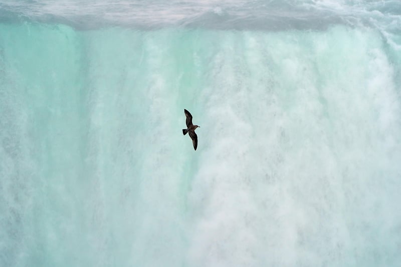 Serene Waterfalls