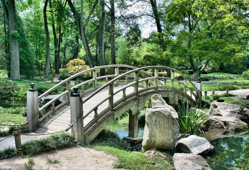 Enchanted Garden