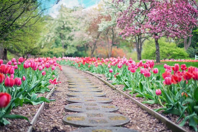 Secret Rose Garden Alley